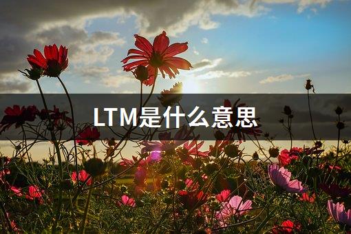 LTM是什么意思-1