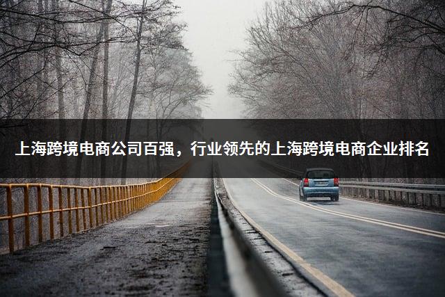 上海跨境电商公司百强，行业领先的上海跨境电商企业排名-1